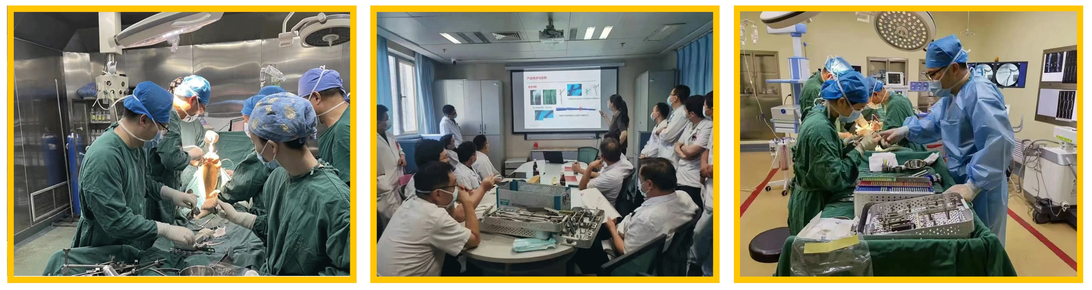 普菲特信息｜热烈祝贺武汉迈瑞SAP实施项目成功上线