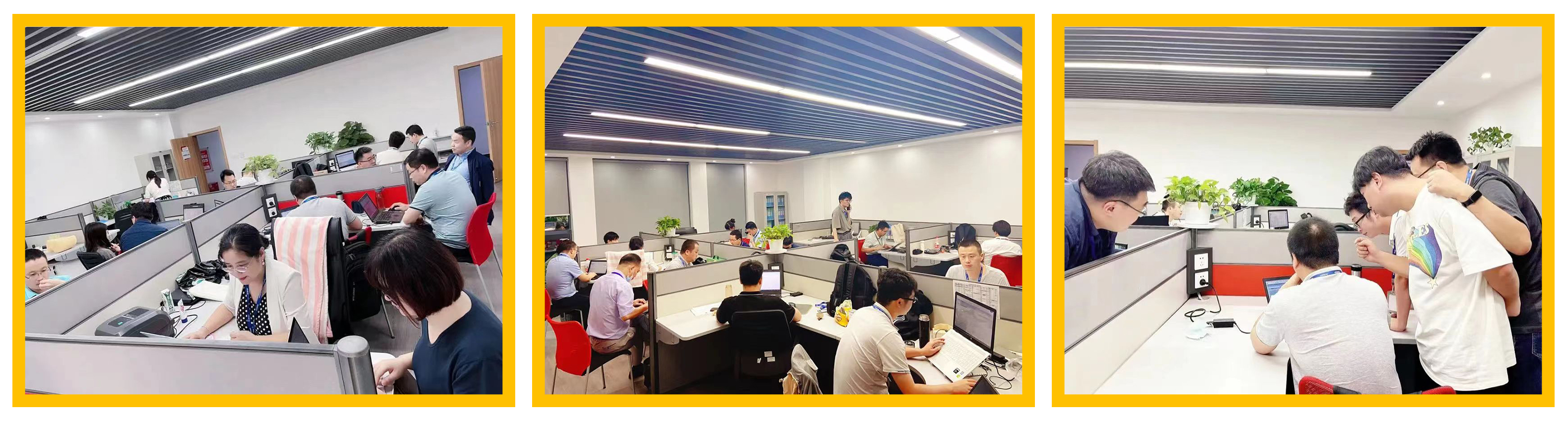 普菲特信息｜热烈祝贺武汉迈瑞SAP实施项目成功上线