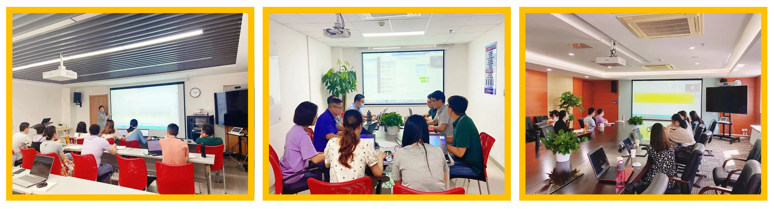 普菲特信息｜热烈祝贺武汉迈瑞SAP实施项目成功上线