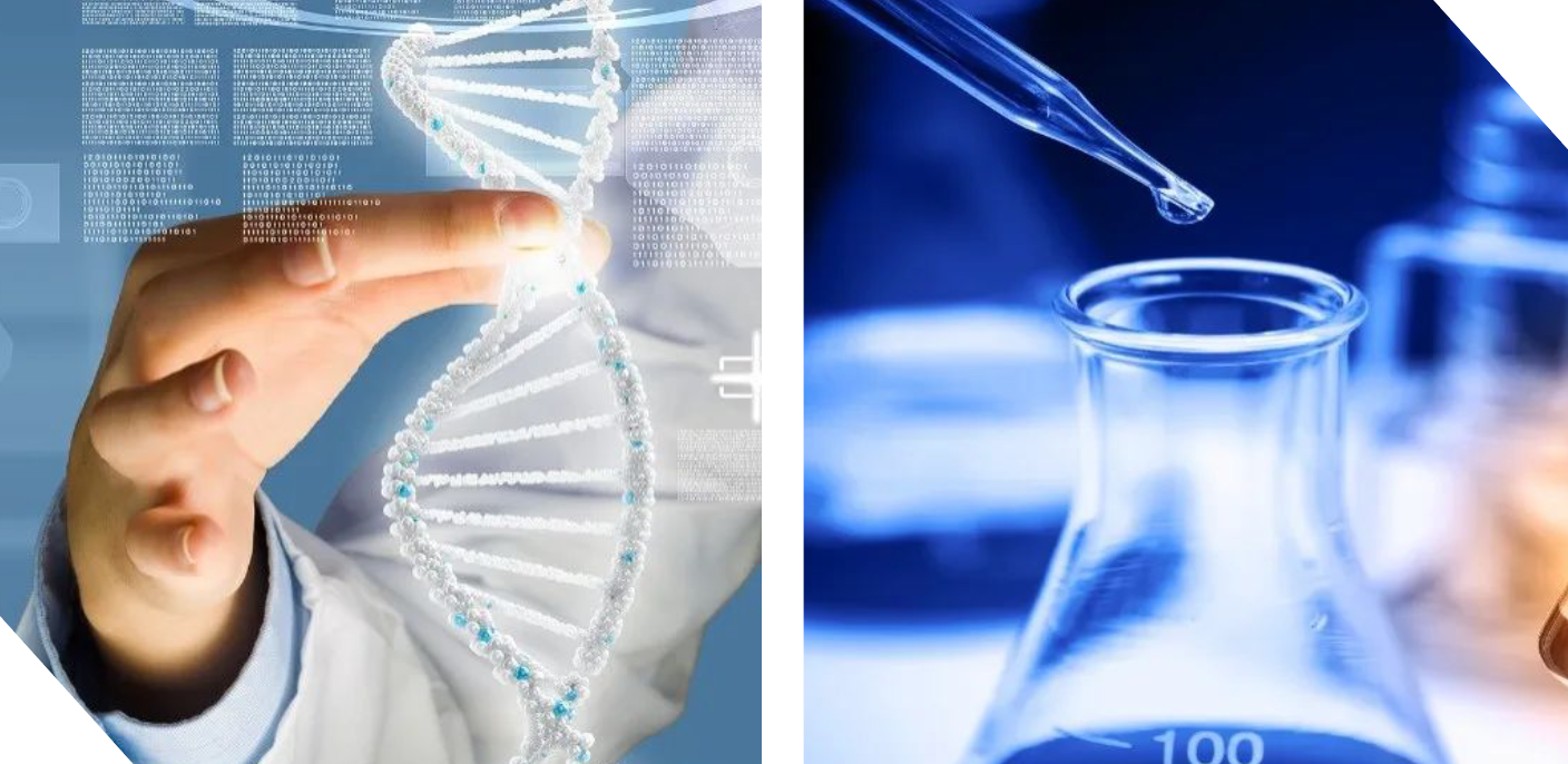 普菲特信息｜携手｢迈迪克｣打造区块链数字化运营管理体系新标杆