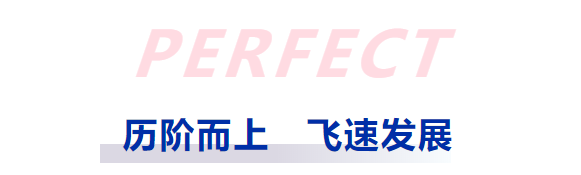 扬帆数字化新蓝海｜祝贺普菲特数字智造事业群成立